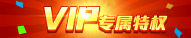 江山荣耀VIP